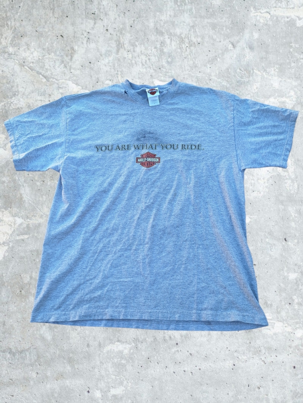 Harley-davidson Men's Grey and Blue T-shirt